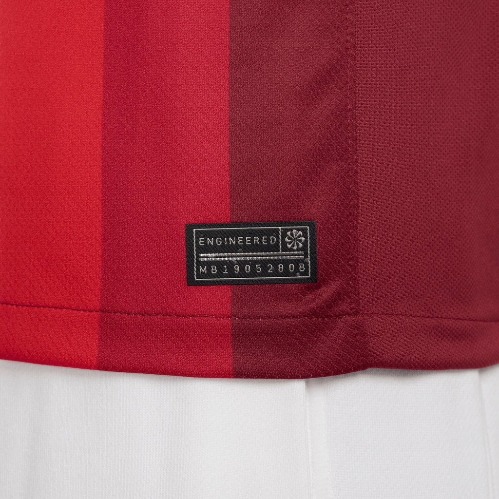 Norway Home Stadium Shirt 2024